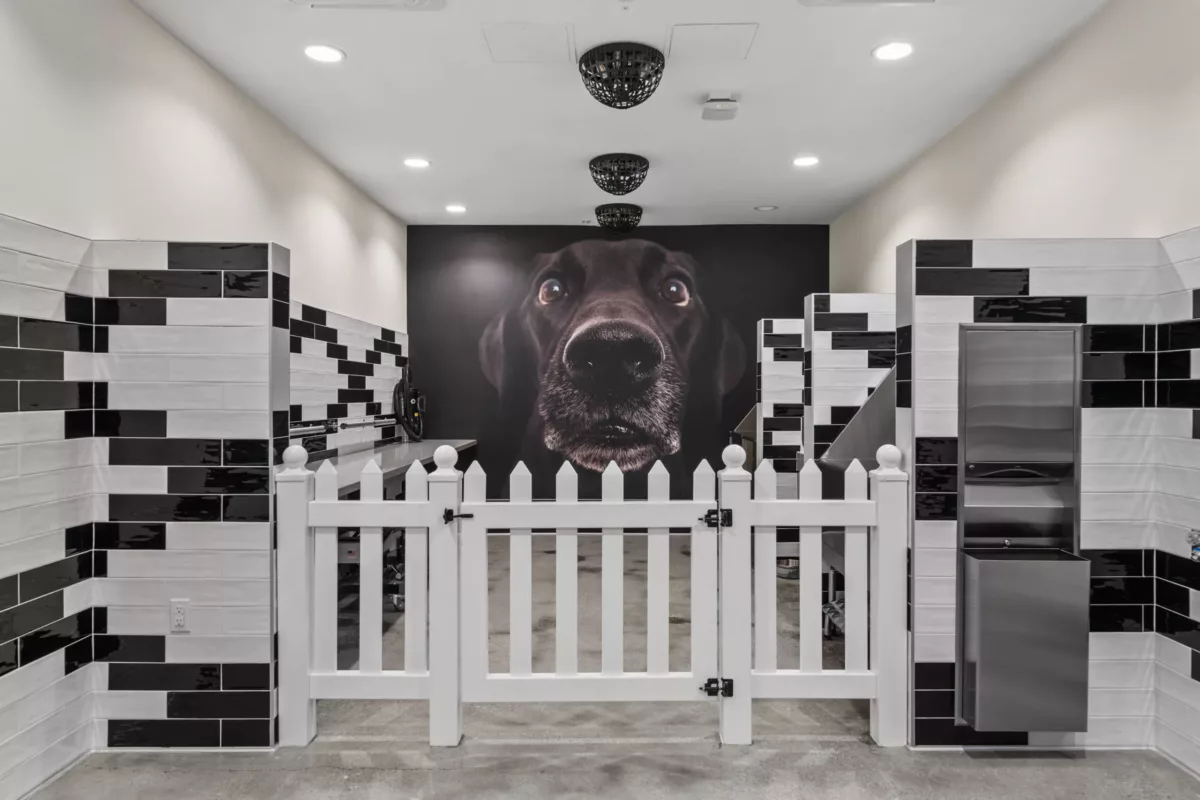 Pet spa with black and white tile, white picket fence, and floor-to-ceiling mural of a black dog.