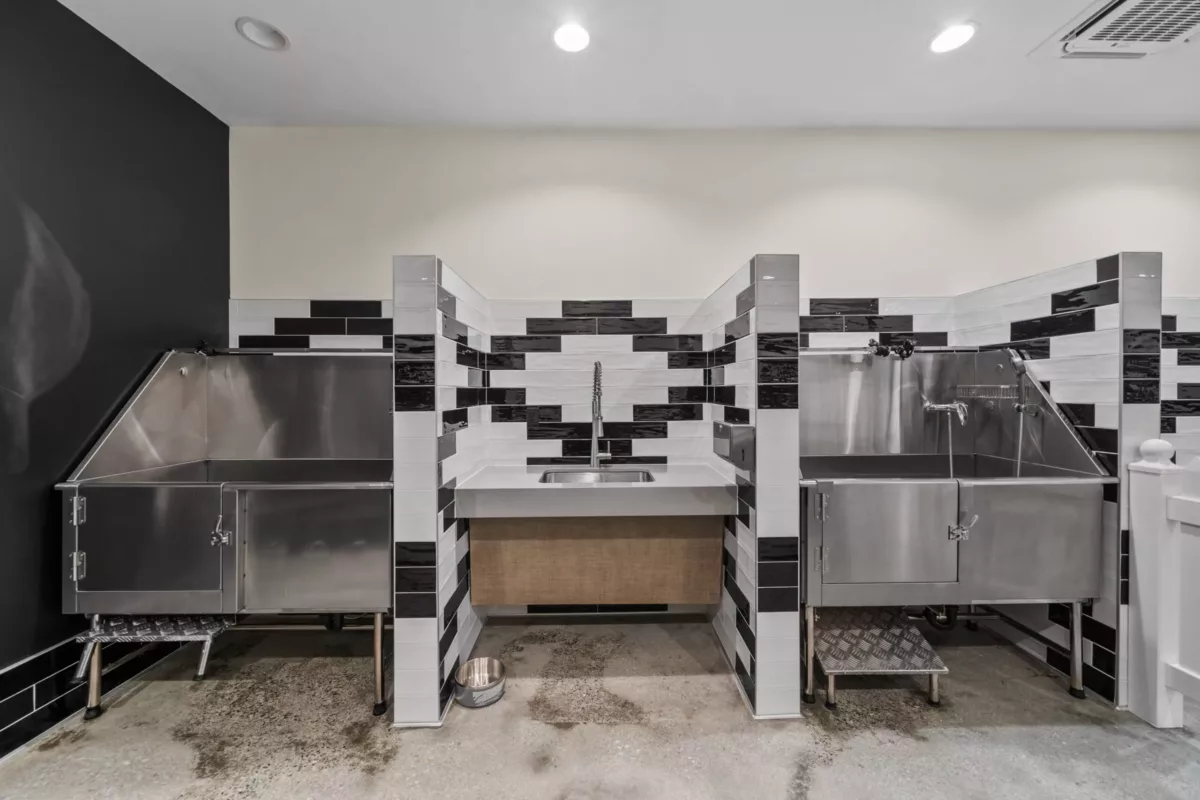 Pet spa with steel washing stations and black and white tile walls.