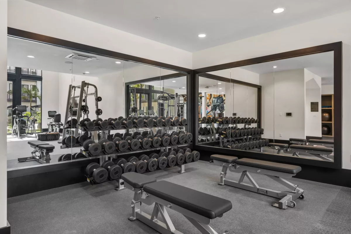Two-story fitness center with cardio equipment and colorful mural on the far wall